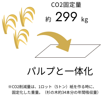 CO2固定量約299kg、パルプと一体化