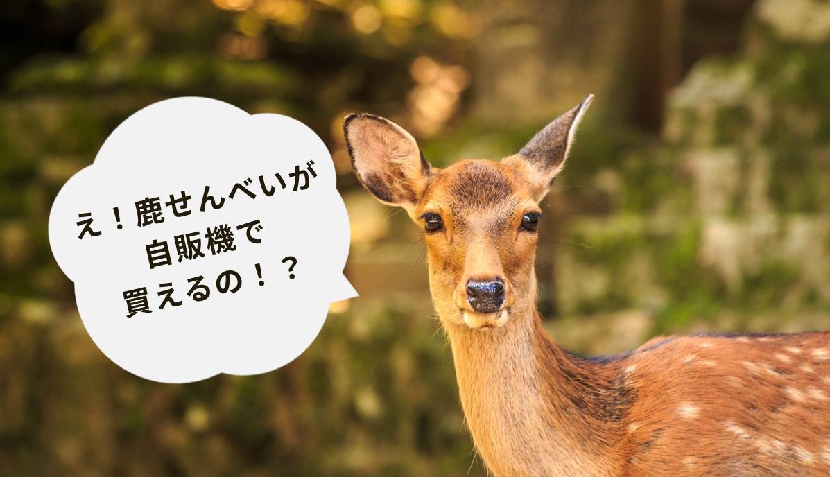 奈良公園の鹿せんべいが自販機で発売開始。設置場所や込められた想いとは？